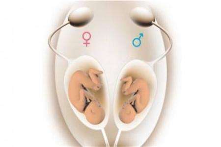案例